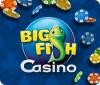  Big Fish Casino spill