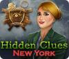  Hidden Clues: New York spill