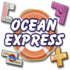  Ocean Express spill