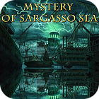  Mystery of Sargasso Sea spill