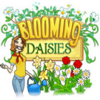 Blooming Daisies spill Blooming Daisies spill