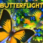  Butterflight spill
