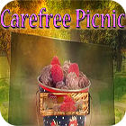  Carefree Picnic spill