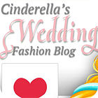  Cinderella Wedding Fashion Blogger spill