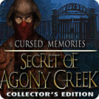  Cursed Memories: The Secret of Agony Creek Collector's Edition spill