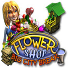  Flower Shop: Big City Break spill