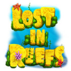  Lost in Reefs spill