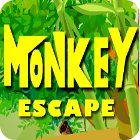  Monkey Escape spill