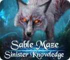  Sable Maze: Sinister Knowledge spill