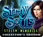  Stray Souls: Stolen Memories Collector's Edition spill