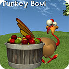  Turkey Bowl spill