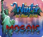  Winter in New York Mosaic Edition spill