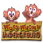  Word Whomp Underground spill