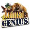 Animal Genius spill