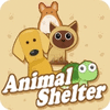 Animal Shelter spill