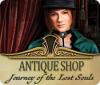  Antique Shop: Journey of the Lost Souls spill