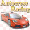 Autocross Racing spill