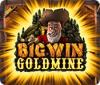  Big Win Goldmine spill