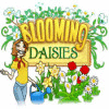  Blooming Daisies spill