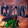  Colony spill