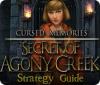Cursed Memories: The Secret of Agony Creek Strategy Guide spill