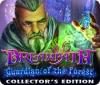  Dreampath: Guardian of the Forest Collector's Edition spill
