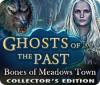  Ghosts of the Past: Bones of Meadows Town Collector's Edition spill