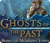 Ghosts of the Past: Bones of Meadows Town spill