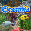  Oceanis spill