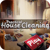 Practical House Cleaning spill