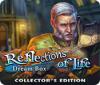  Reflections of Life: Dream Box Collector's Edition spill