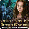 Sister's Secrecy: Arcanum Bloodlines Collector's Edition spill