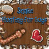 Snake - Hunting for Bugs spill