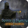 Spirits of Mystery: Amber Maiden Collector's Edition spill