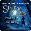 Strange Cases: The Secrets of Grey Mist Lake Collector's Edition spill
