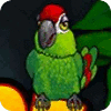 Thirsty Parrot spill
