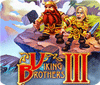  Viking Brothers 3 Collector's Edition spill