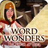  Word Wonders spill